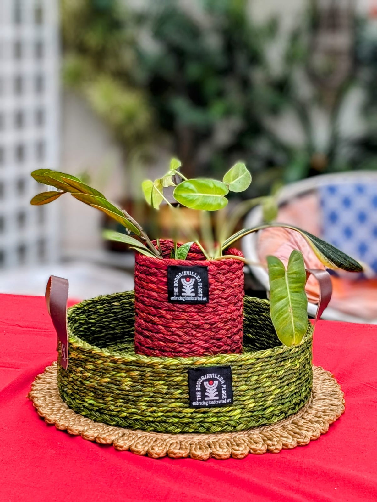 Sabai Grass