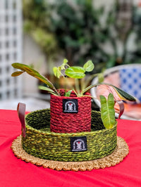 Sabai Grass